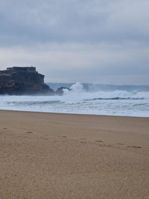 Porto to Lisbon with Aveiro-Coimbra-Fátima-Nazaré-Óbidos - Why the private comfort is worth paying for