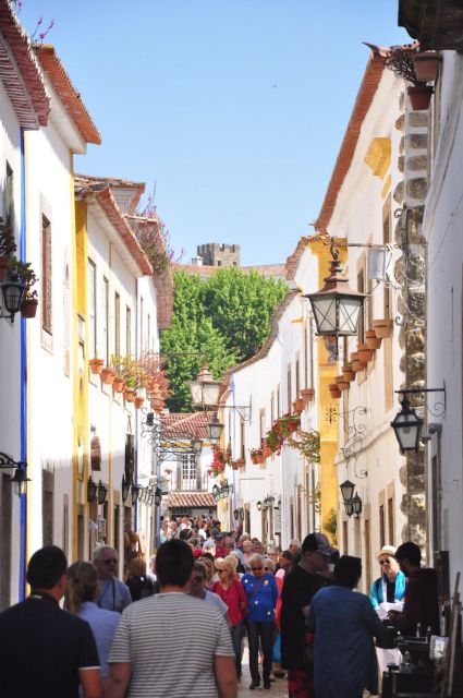 Porto to Lisbon with Aveiro-Coimbra-Fátima-Nazaré-Óbidos - Aveiro’s canals, moliceiros boats, and ovos moles