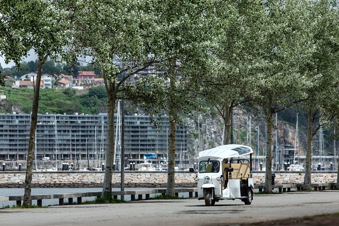 Porto Tuk Tuk: Clérigos, Seaside & Viewpoints - with Options - Jardins do Palácio de Cristal: a free reset with Douro River views