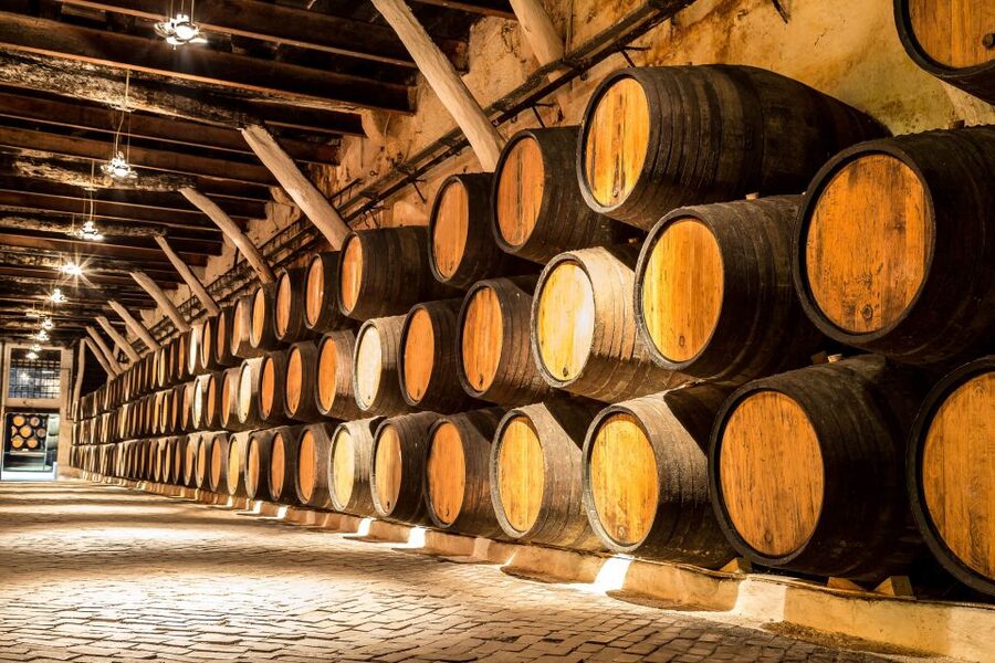 Porto: Tuk-Tuk Tour, Douro River Cruise, and Wine Tasting - Price and Value: Why $64 Can Feel Fair in Porto