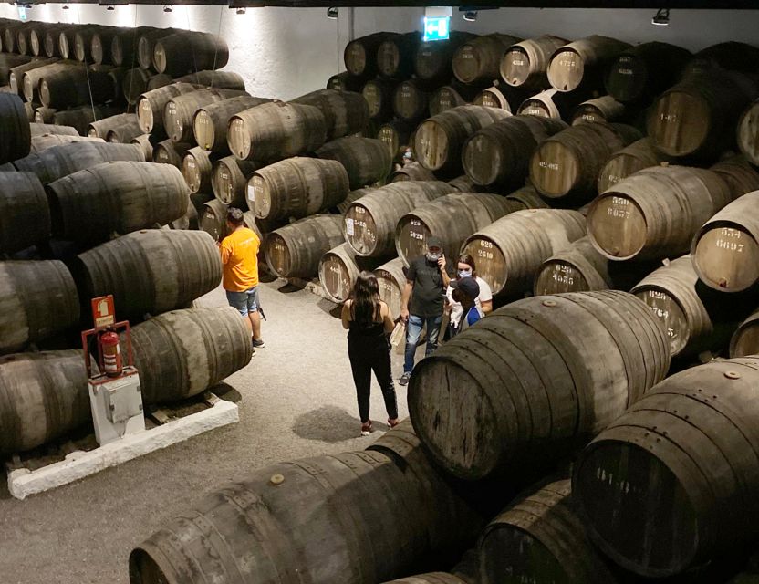 Porto: Wine Tasting with Tapas Walking Tour - Your tapas and cheese stop: codfish cakes and pairings