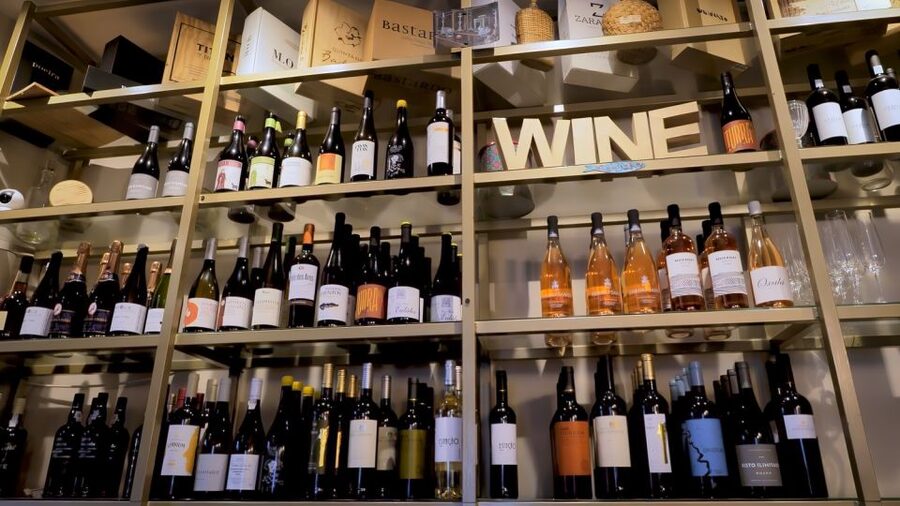 Porto: Wine Tour & One Hour Fado Show | All Included - Wine tasting bar: Douro, Alentejo, and Vinho Verde with cheese and sausages (about 1 hour)
