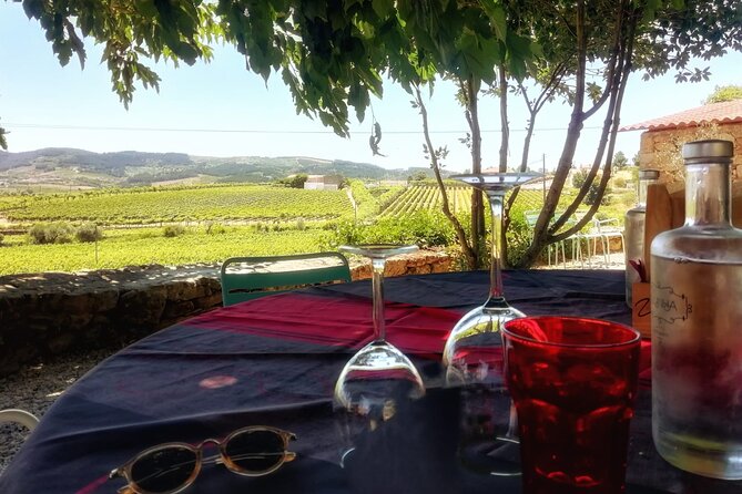 Premium Douro Valley Small-Group Tour, Wine Tasting, Lunch & Boat - Price and What This Tour Actually Includes