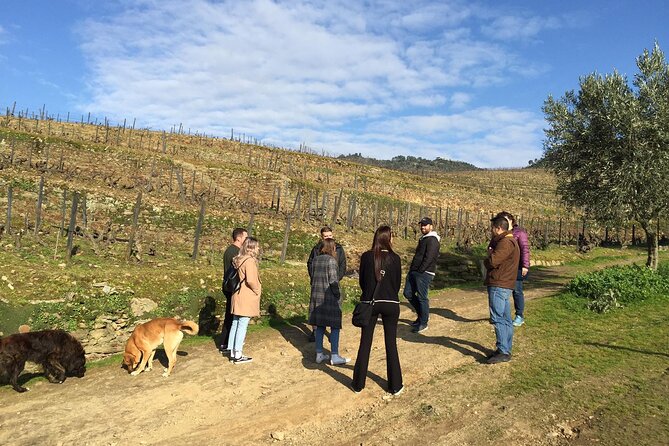 Premium Douro Valley Small-Group Tour, Wine Tasting, Lunch & Boat - Stop 1: Quinta do Panascal and the 3-Port-Wine Tasting