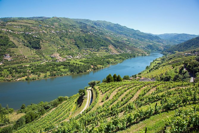 Premium Douro Valley Small-Group Tour, Wine Tasting, Lunch & Boat - Stop 4: Vilarinho de São Romão for Table Wine, Olive Oil, and Honey