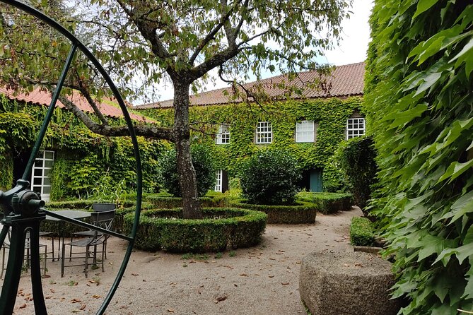 Premium Douro Valley Small-Group Tour, Wine Tasting, Lunch & Boat - Stop 3: Casa dos Barros for Winery Lunch and Vineyard Views