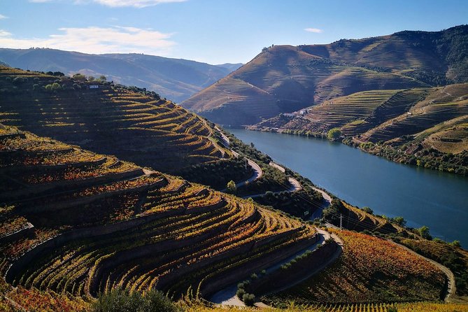 Premium Private Douro Tour: 3 Wineries with Tastings & Lunch - Key reasons this Douro tour works so well
