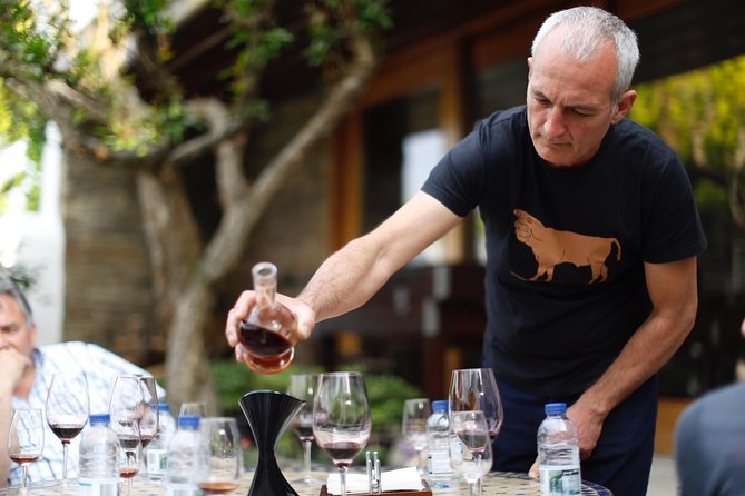 Premium Private Douro Tour: 3 Wineries with Tastings & Lunch - A Premium Douro Day From Porto, Built Around Tastings