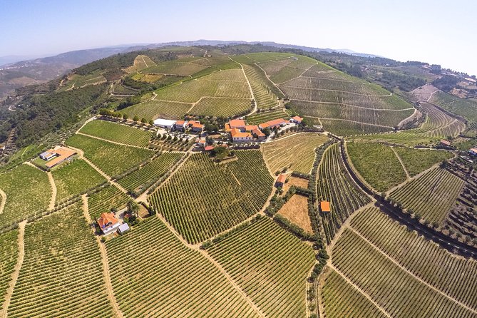 Premium Private Douro Tour: 3 Wineries with Tastings & Lunch - The Drive and the Pinhão Break: Viewpoints, Lunch, and Tile Photos
