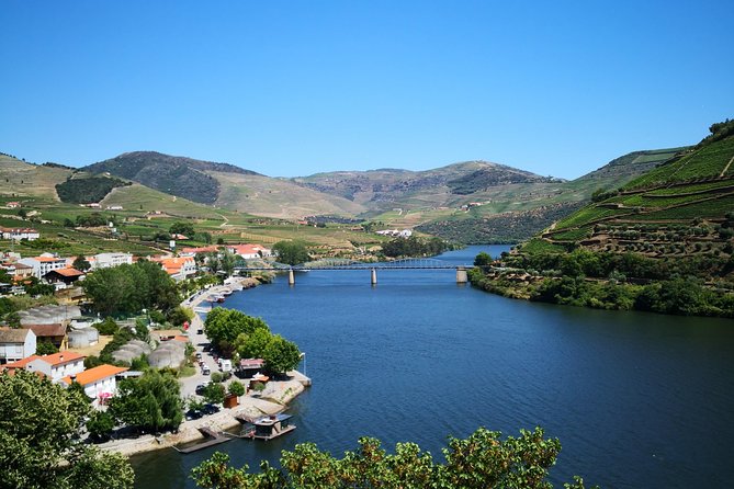 Premium Private Douro Tour: 3 Wineries with Tastings & Lunch - Stop 3: Quinta Seara dOrdens, River Roads, and Olive Oil Add-Ons