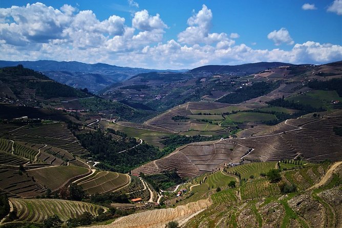 Premium Private Douro Tour: 3 Wineries with Tastings & Lunch - Lunch Value: What You Actually Get for the $520.23