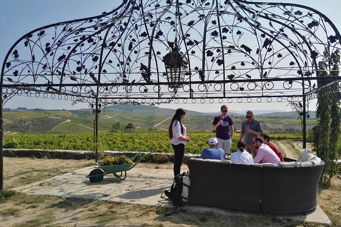 Premium Private Douro Tour: 3 Wineries with Tastings & Lunch - Where Your Day Starts: 8:30 am Pickup in Porto