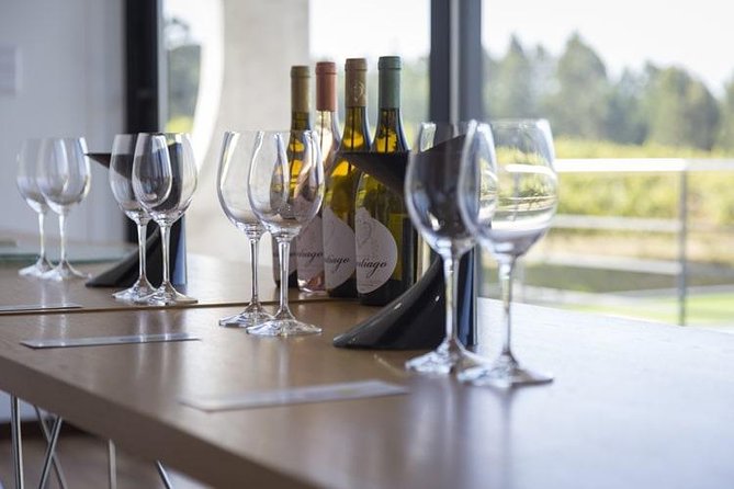Premium Private Vinho Verde Tour:3 Wineries with Tastings & Lunch - Two winery visits with guided vineyards, cellar access, and tastings