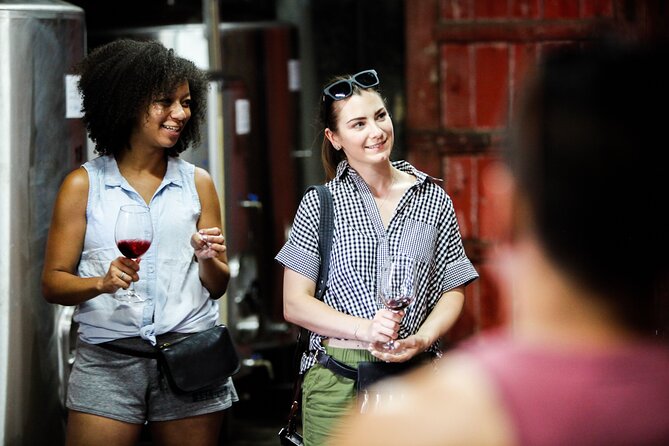 PREMIUM TASTING and TAPAS with GUIDED TOUR - Quinta do Beijo Cellars: A Family Winery Feel Without the Crowd
