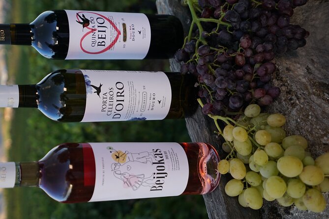 PREMIUM TASTING and TAPAS with GUIDED TOUR - Price of $60.34: Is This a Good Value for a Guided Premium Tasting?