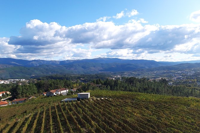 Premium Tasting | Quinta de Santa Cristina Vinho Verde - Where to Meet in Veade (and Why It Matters)