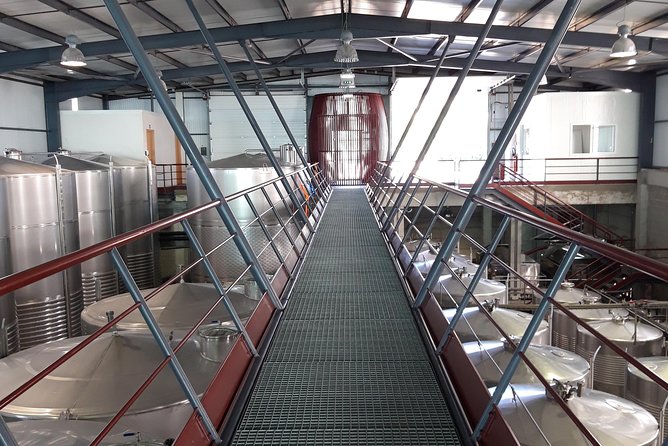 Premium Tasting | Quinta de Santa Cristina Vinho Verde - Inside the Winery: From Grape Reception to Bottling and Labelling