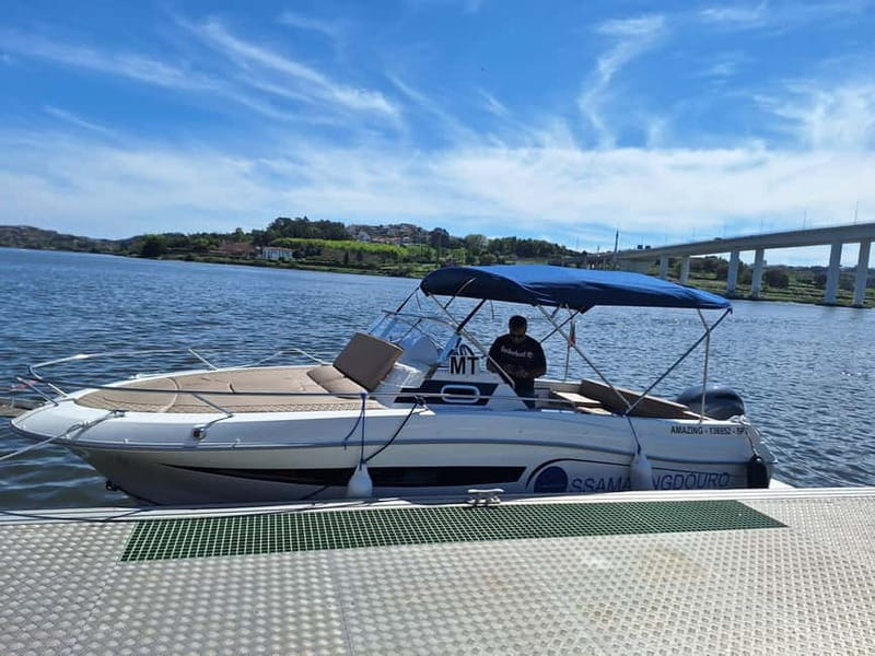 Private 6 Bridges Cruise in Porto with Optional Sunset - Price and value: what $84 gets you for two hours