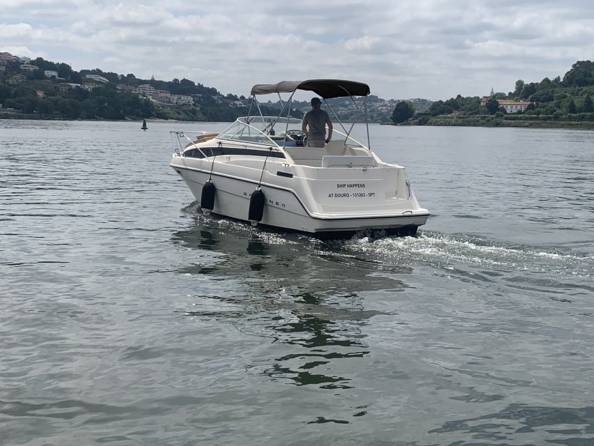 Private Cruise in Rio Douro - 2 hours - Up to 8 Passengers - Best times to book for better photos and easier vibes