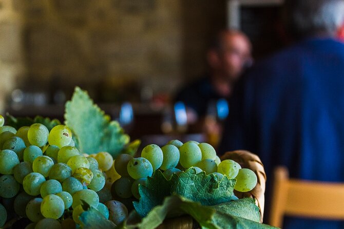 Private Culture and Wine Tourism Tour - Guides and private-group comfort with Joy4fun