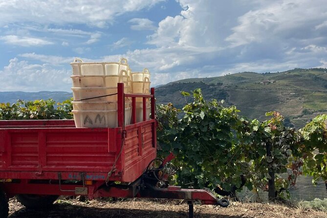 Private Douro 4x4 Adventure from Porto with Deluxe Pic nic - The 4x4 drive into the Douro Valley, what it feels like on the road