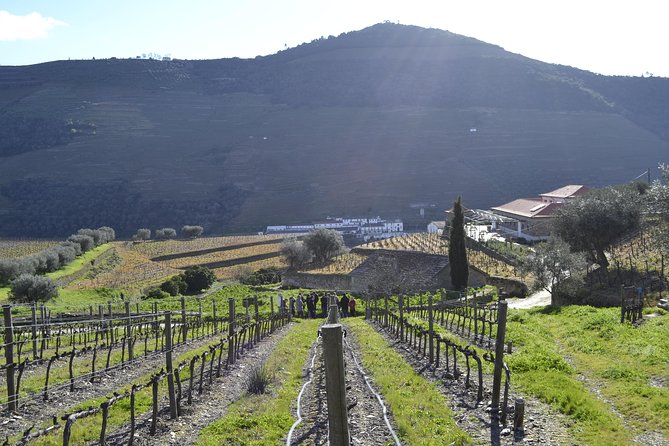 Private Douro 4x4 Adventure from Porto with Deluxe Pic nic - Wine and Port tasting, and why being driven matters