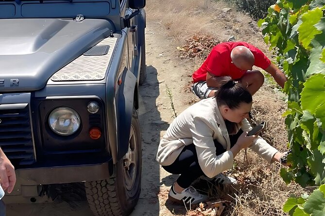 Private Douro 4x4 Adventure from Porto with Deluxe Pic nic - Lunch and the deluxe picnic setup