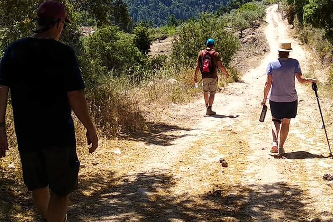 Private Douro and Porto 4x4 Tour with Wine Tasting and Boat Trip - The 4x4 Driving: Adventure with a Real Reason