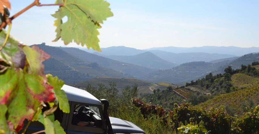Private Douro Valley 4WD Tour with Wine Tasting and Picnic - Private Douro Valley 4WD: Why This Day Is Different