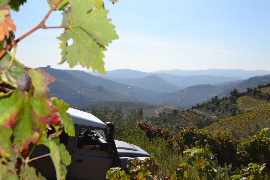 Private Douro Valley 4WD Tour with Wine Tasting and Picnic - Off-Road Viewpoints: Escaping Crowds Without Feeling Rushed