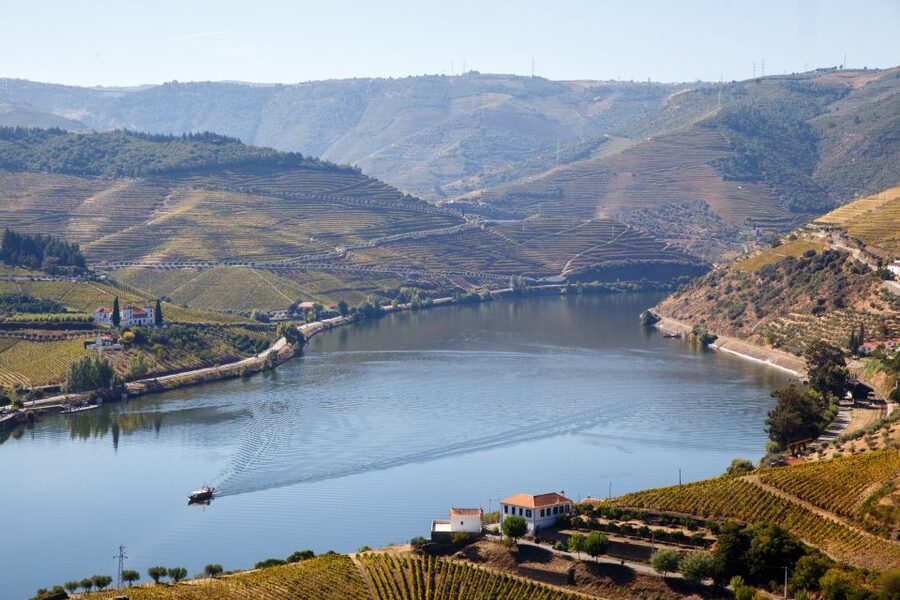 Private Douro Valley 4WD Tour with Wine Tasting and Picnic - Who This Tour Suits Best