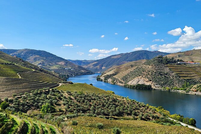 Private Douro Valley Tour (2 wineries + boat) - Key Highlights at a Glance