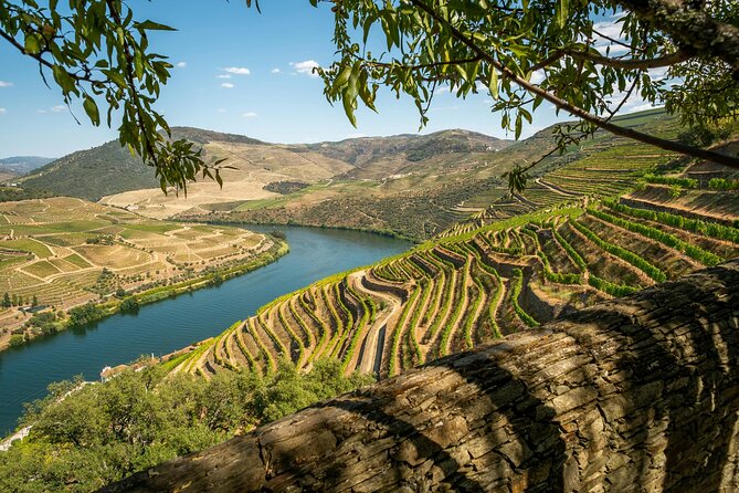 Private Douro Valley Tour: Boutique Winery & River Cruise - Key highlights worth planning around