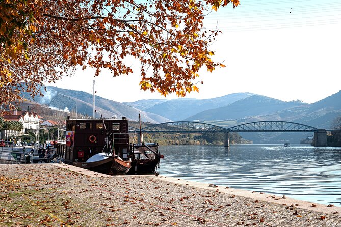Private Douro Valley Tour: Boutique Winery & River Cruise - A smooth Porto pickup, then straight into Douro-mode