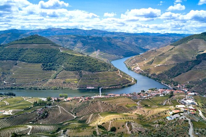 Private Douro Valley Tour: Boutique Winery & River Cruise - Quinta do Cume: boutique winery tastings with a real production story