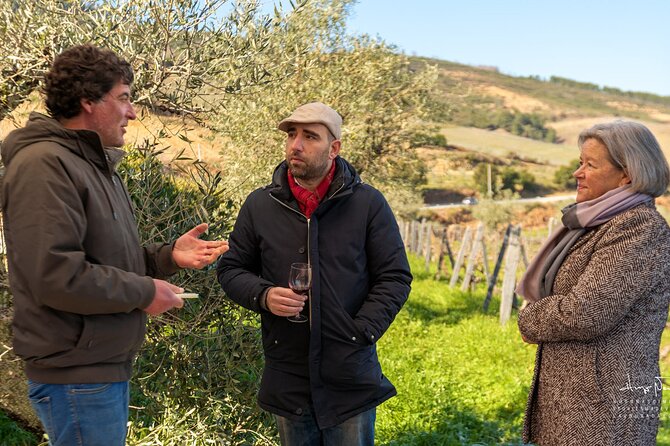 Private Douro Valley UNESCO Wine Tour from Porto with Lunch - Price and value: what $288.06 per person is buying