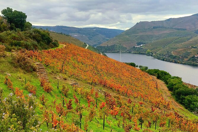 Private Douro Valley UNESCO Wine Tour from Porto with Lunch - Who this tour is best for