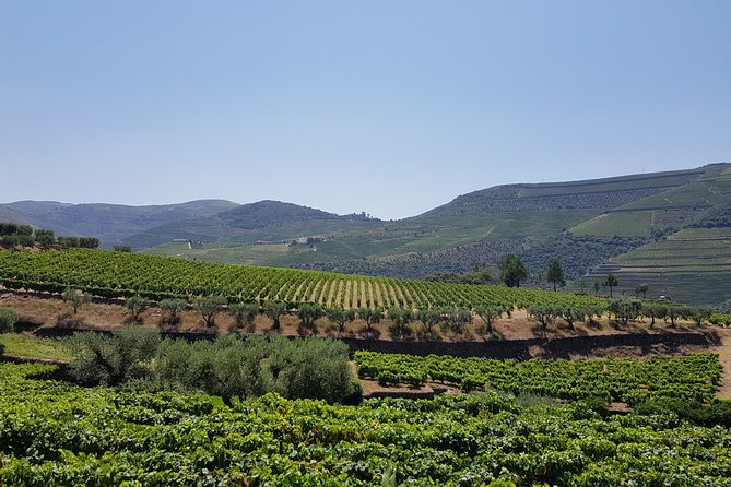 Private Douro Valley visit to three vineyards with Lunch from Porto - National Road 222 and the drive into the Douro’s heart