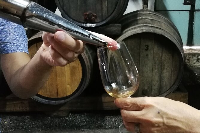 Private Douro Valley Wine Tour - Key highlights before you go