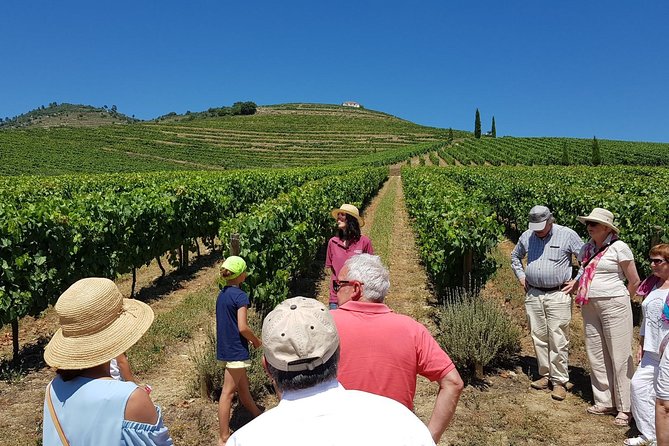 Private Douro Valley Wine Tour: 2 Wine Estates, Lunch and Cruise - Key things to know before you go