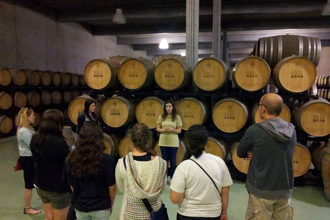 Private Douro Valley Wine Tour: 2 Wine Estates, Lunch and Cruise - Sabrosa first stop: the wine estate visit that sets the pace for lunch