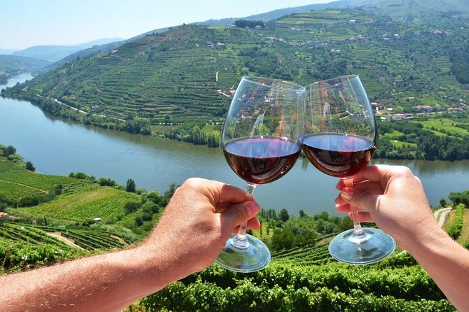 Private Douro Valley Wine Tour: 2 Wine Estates, Lunch and Cruise - Road 222 and viewpoints: quick hits of scenery that feel worth the drive