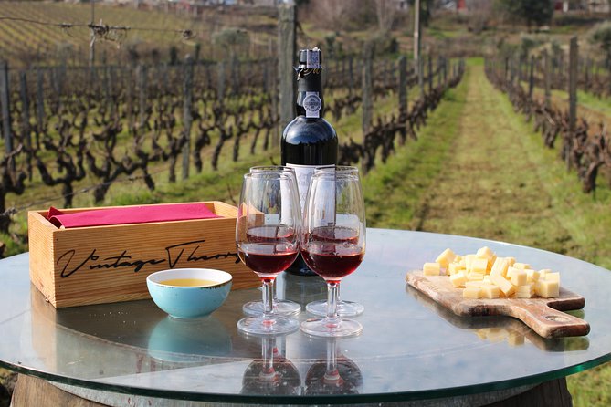 Private Douro Valley Wine Tour: 2 Wine Estates, Lunch and Cruise - Price and logistics: what you are really paying for at $278.26