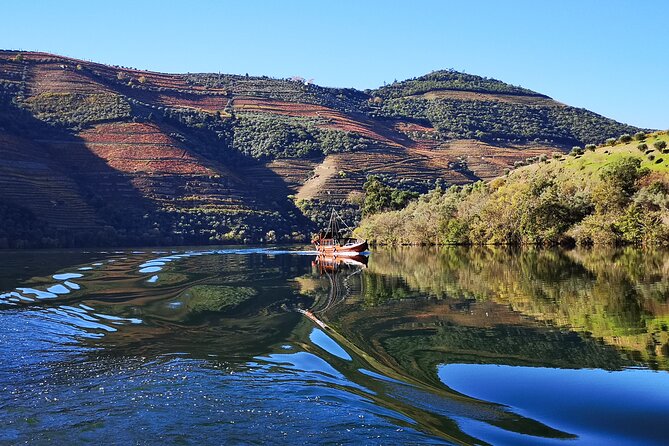 Private Douro Valley Wine Tour + Lunch and Boat Cruise - Key highlights