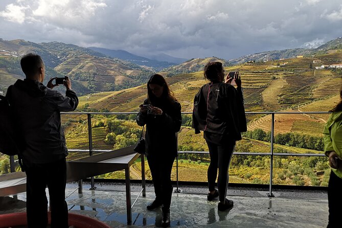 Private Douro Valley Wine Tour + Lunch and Boat Cruise - Stop 1: Douro Valley Terraces and Tastings at a Family Winery