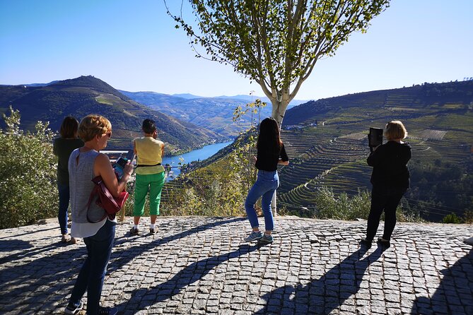 Private Douro Valley Wine Tour + Lunch and Boat Cruise - Getting Picked Up in Porto Without Stress