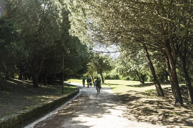 Private e-Bike Tour in Porto – Explore Riverside, Beaches & Parks - Stop 14 to 16: Jardim do Cálem, Ribeira square, and Dom Luis I