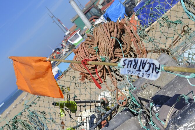 Private Fish Experience with Market-to-table lunch from Porto - Angeiras Harbor: Seeing the Fishermen Come In