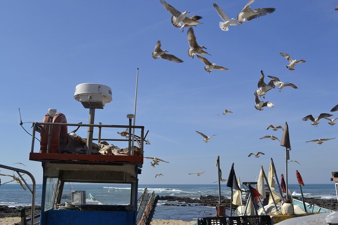 Private Fish Experience with Market-to-table lunch from Porto - Conservas Pinhais: How Sardines Get Made, Then Tasted