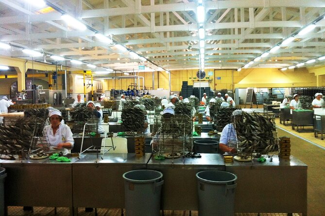 Private Fish Experience with Market-to-table lunch from Porto - Private Tour Value: When $300.40 Makes Sense